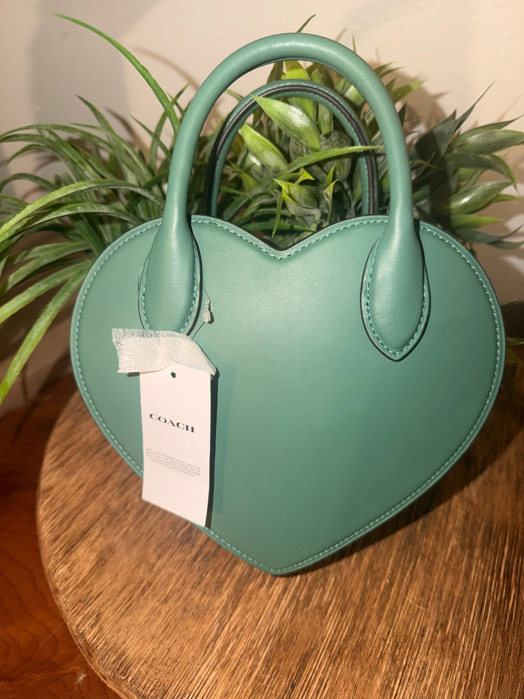 COACH PRIDE collection heart shaped purse. NWT